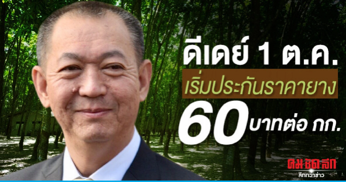 ดีเดย์ 1 ต.ค. เริ่มประกันราคายาง 60 บาทต่อกก. 