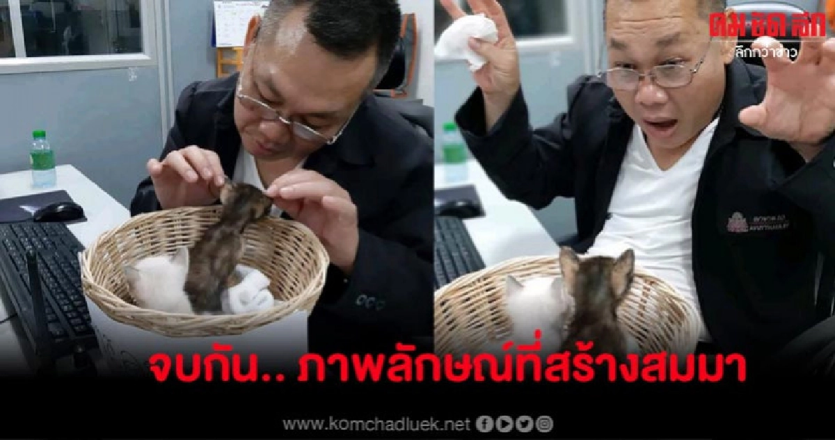 เมื่อ 'สารวัตร' สลัดมาดนายตำรวจกลายเป็นทาสแมว โซเชียลแซวยับ เมื่อ 'สารวัตร' สลัดมาดนายตำรวจกลายเป็นทาสแมว โซเชียลแซวยับ