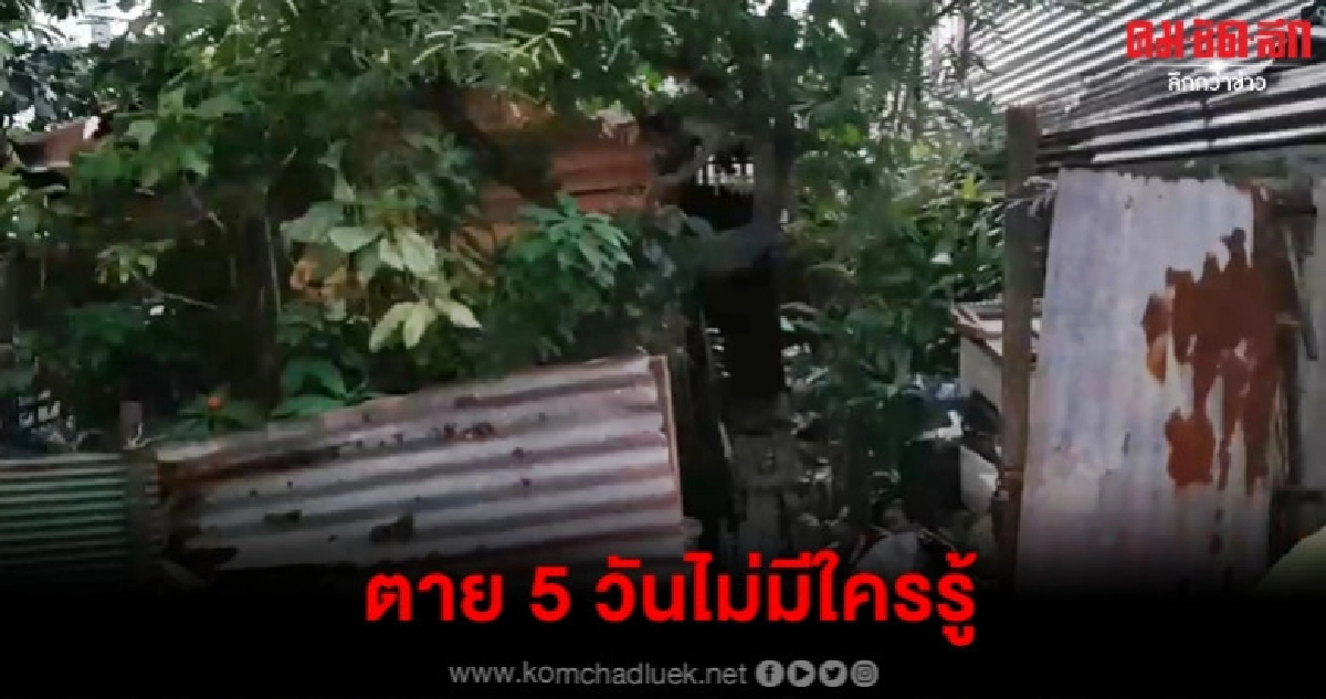 หายหน้าไปหลายวัน ลุงวัย 55 กลายเป็นศพขึ้นอืดคาบ้าน หายหน้าไปหลายวัน ลุงวัย 55 กลายเป็นศพขึ้นอืดคาบ้าน