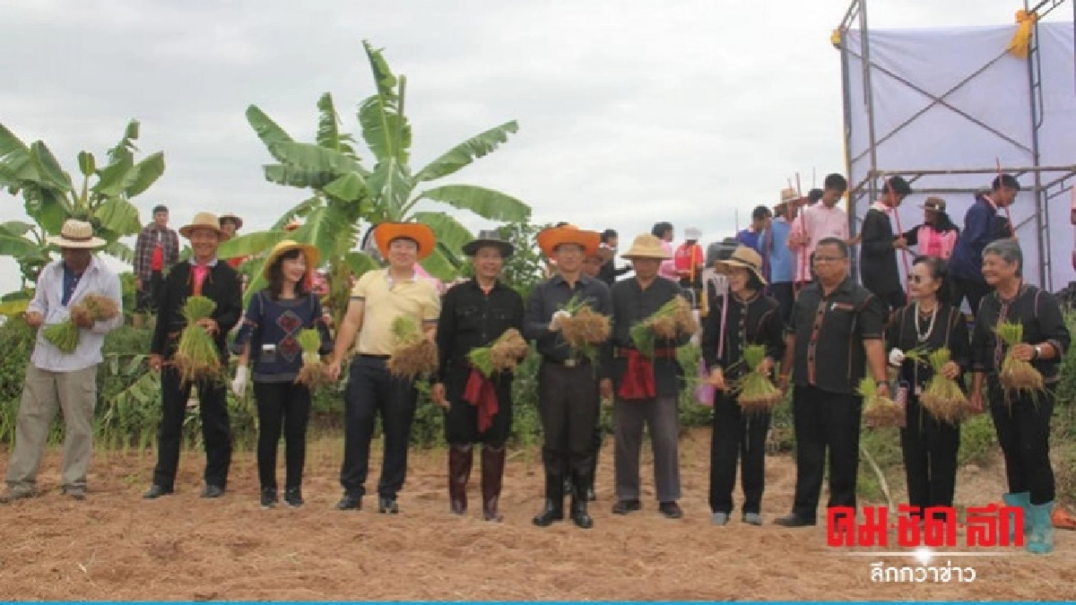 สิริพงศ์ ชูระบบสืบค้นย้อนกลับแหล่งที่มาสินค้าเกษตรปลอดภัย สิริพงศ์ ชูระบบสืบค้นย้อนกลับแหล่งที่มาสินค้าเกษตรปลอดภัย