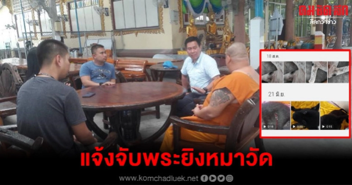 WDT แจ้งจับพระยิงหมาวัด WDT แจ้งจับพระยิงหมาวัด