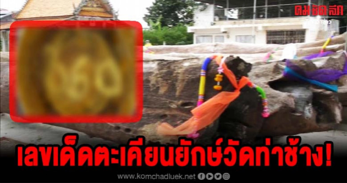 คอหวยแห่ส่องขันน้ำมนต์เลขเด็ดต้นตะเคียนยักษ์ถูกมาแล้วหลายงวด