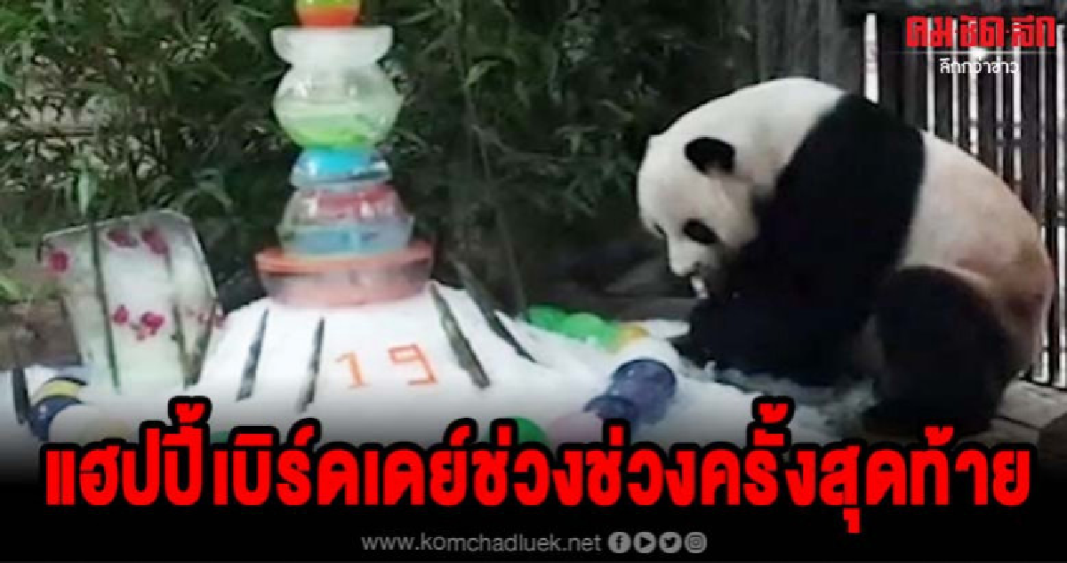 ย้อนชมภาพความทรงจำ แฮปปี้เบิร์ดเดย์ ช่วงช่วงครบ 19 ปี ย้อนชมภาพความทรงจำ แฮปปี้เบิร์ดเดย์ ช่วงช่วงครบ 19 ปี
