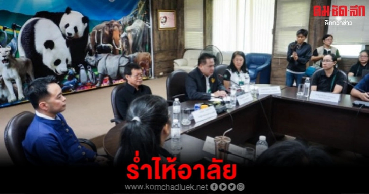 รอผู้เชี่ยวชาญจีนชันสูตร ช่วงช่วง