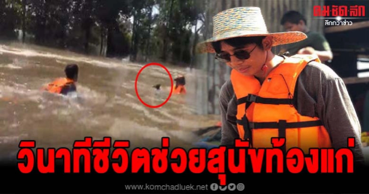 น้ำลึกแค่ไหนไม่หวั่นก้องห้วยไร่ว่ายทวนกระแสน้ำช่วยสุนัขท้อง น้ำลึกแค่ไหนไม่หวั่นก้องห้วยไร่ว่ายทวนกระแสน้ำช่วยสุนัขท้อง