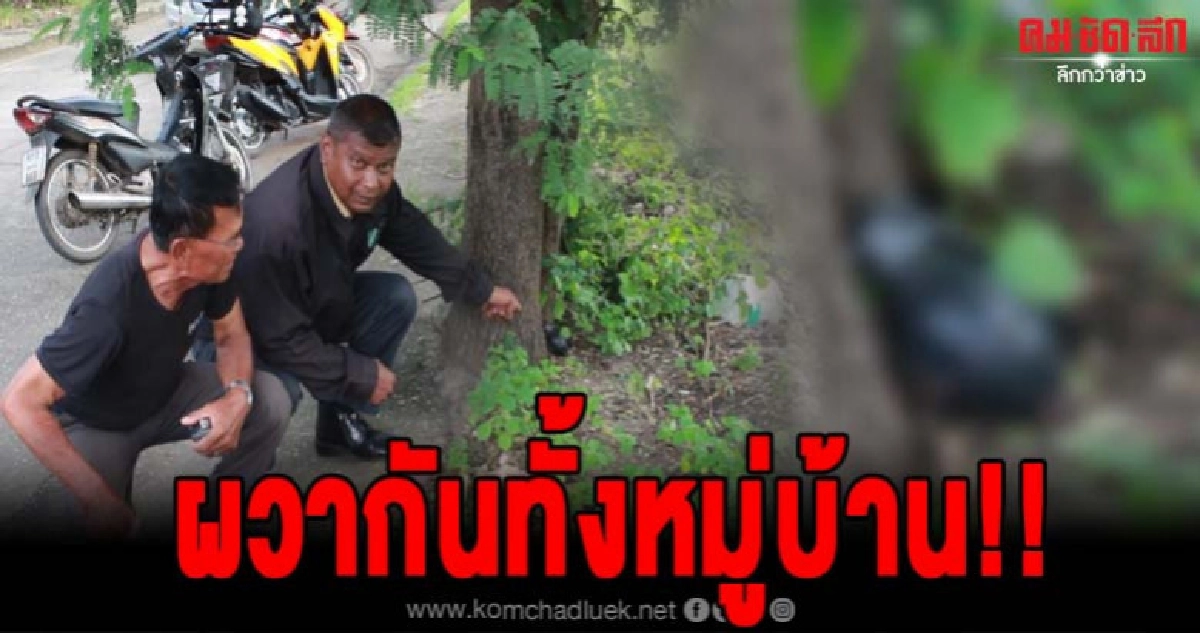 ผวากันทั้งหมู่บ้าน เจอลูกระเบิดซ้อมขว้างใต้ต้นมะขาม ผวากันทั้งหมู่บ้าน เจอลูกระเบิดซ้อมขว้างใต้ต้นมะขาม