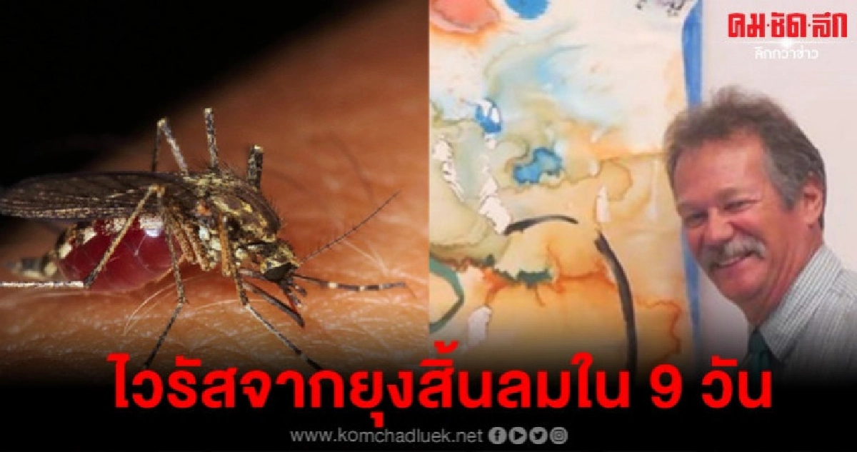จากสุขภาพแข็งแรงสู่สมองตายไวรัสจากยุงคร่าชายมะกันใน 9 วัน จากสุขภาพแข็งแรงสู่สมองตายไวรัสจากยุงคร่าชายมะกันใน 9 วัน