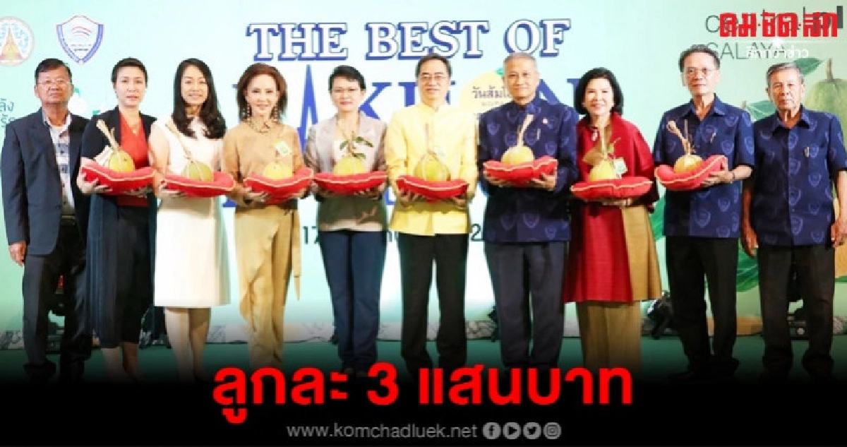 ทุบสถิติประมูลส้มโอลูกเดียว 3 แสนบาท ทุบสถิติประมูลส้มโอลูกเดียว 3 แสนบาท