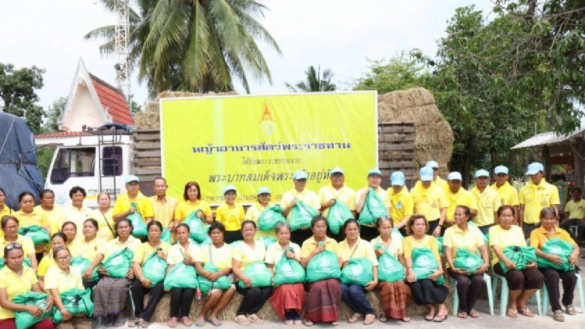 สหกรณ์ร่วม kick off เปิดโครงการจิตอาสาก.เกษตรฯ สหกรณ์ร่วม kick off เปิดโครงการจิตอาสาก.เกษตรฯ