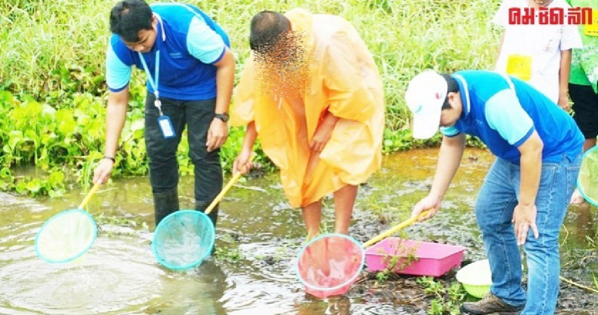 ซันโทรี่ เป๊ปซี่โค เปิดค่ายเยาวชนรักษ์น้ำ ซันโทรี่ เป๊ปซี่โค เปิดค่ายเยาวชนรักษ์น้ำ