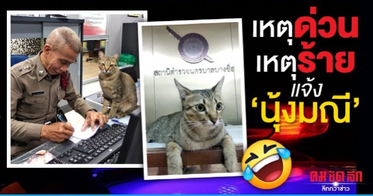 ทาสแมวใจละลาย นุ้งมณี พีอาร์ สน.บางซื่อ ทาสแมวใจละลาย นุ้งมณี พีอาร์ สน.บางซื่อ