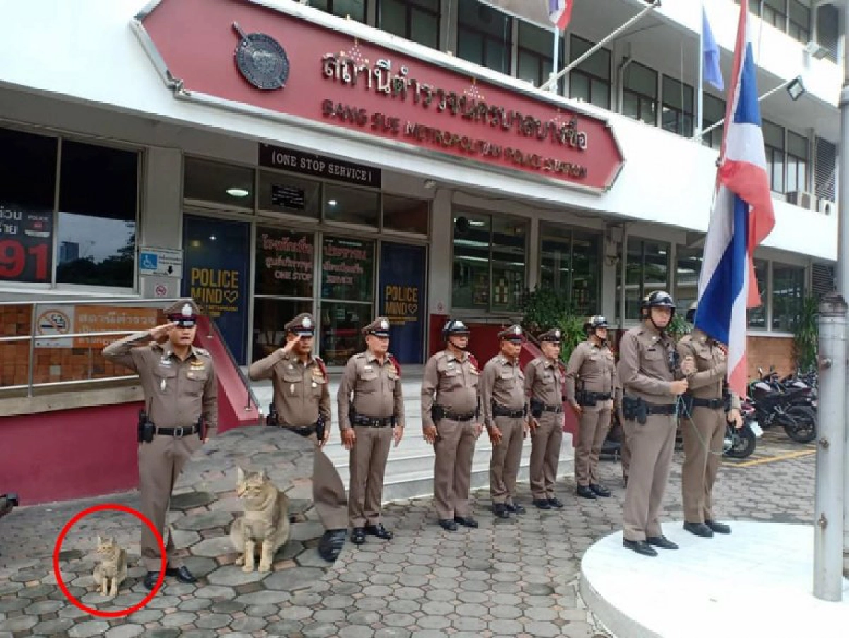 ทาสแมวใจละลาย นุ้งมณี พีอาร์ สน.บางซื่อ
