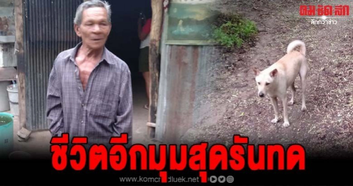 เปิดชีวิตอีกมุมคุณลุงสุดรันทด หลังโดนโซเชียลโจมตีขโมยข้าวหมา เปิดชีวิตอีกมุมคุณลุงสุดรันทด หลังโดนโซเชียลโจมตีขโมยข้าวหมา