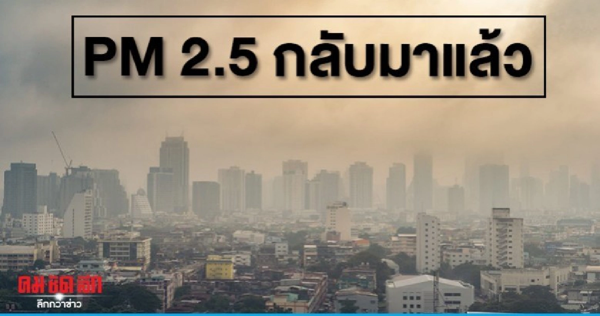 PM 2.5 กลับมาแล้ว ทำให้สารแสบเส้นเลือดสูง ต้นเหตุหัวใจวาย PM 2.5 กลับมาแล้ว ทำให้สารแสบเส้นเลือดสูง ต้นเหตุหัวใจวาย