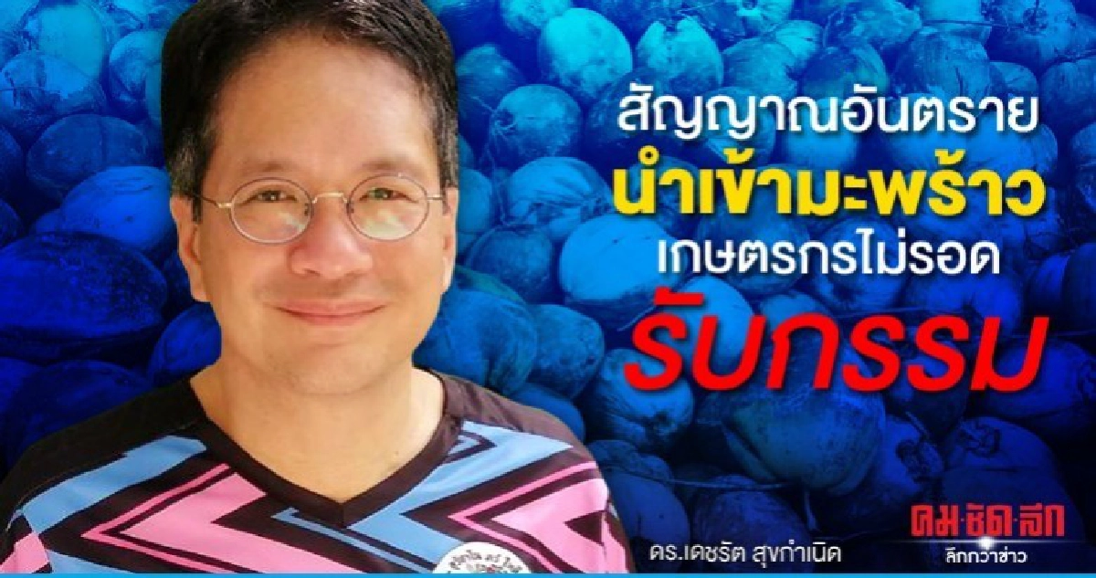 สัญญาณอันตรายนำเข้ามะพร้าวเกษตรกรไม่รอดรับกรรม สัญญาณอันตรายนำเข้ามะพร้าวเกษตรกรไม่รอดรับกรรม