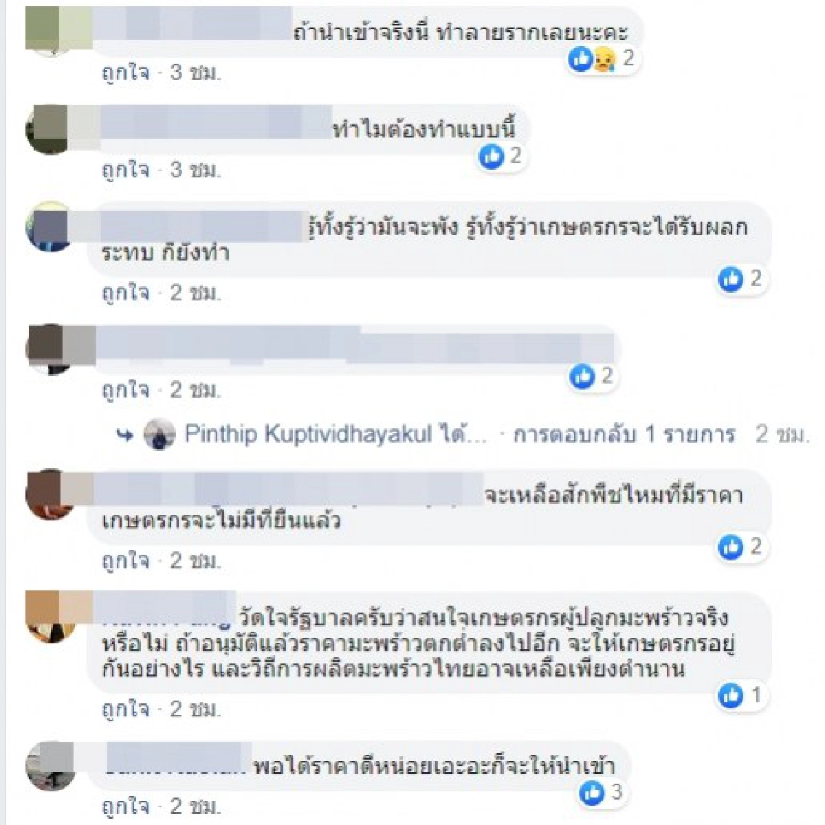 สัญญาณอันตรายนำเข้ามะพร้าวเกษตรกรไม่รอดรับกรรม
