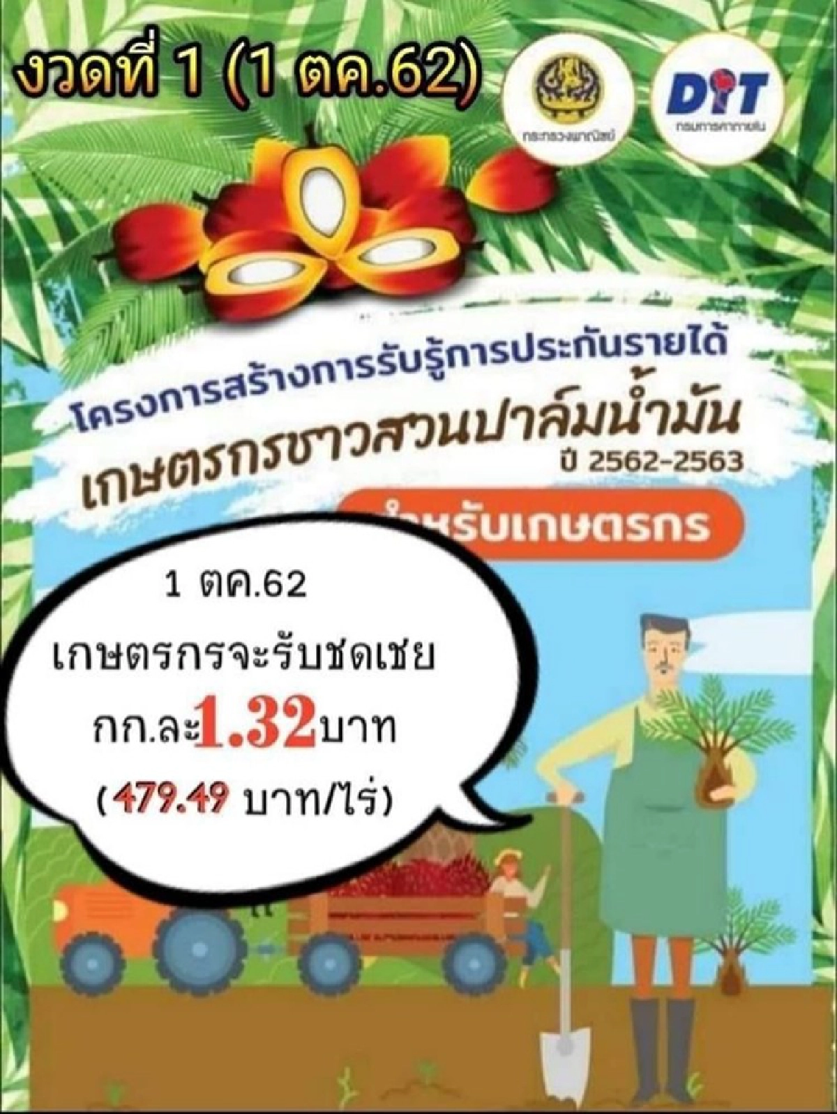 2.5 แสนครัวเฮรับ 1.3 พันล.ประกันปาล์มงวดแรก