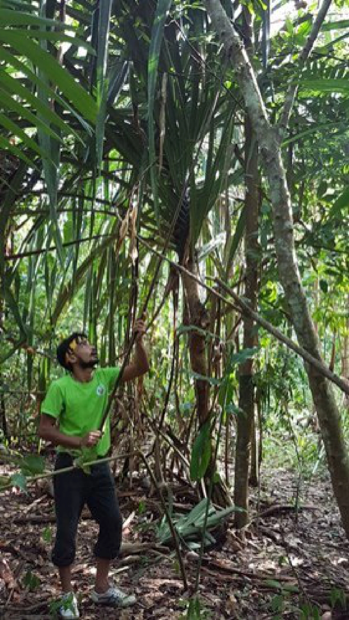 จากคนที่เขาว่าบ้าสู่ ป่าร่วมยาง เจ้าของต้นแบบอาหารปลอดภัย