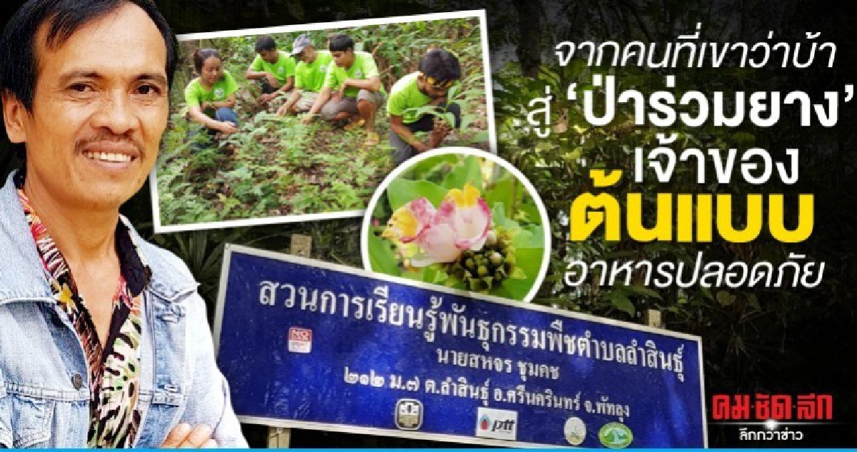 จากคนที่เขาว่าบ้าสู่ ป่าร่วมยาง เจ้าของต้นแบบอาหารปลอดภัย