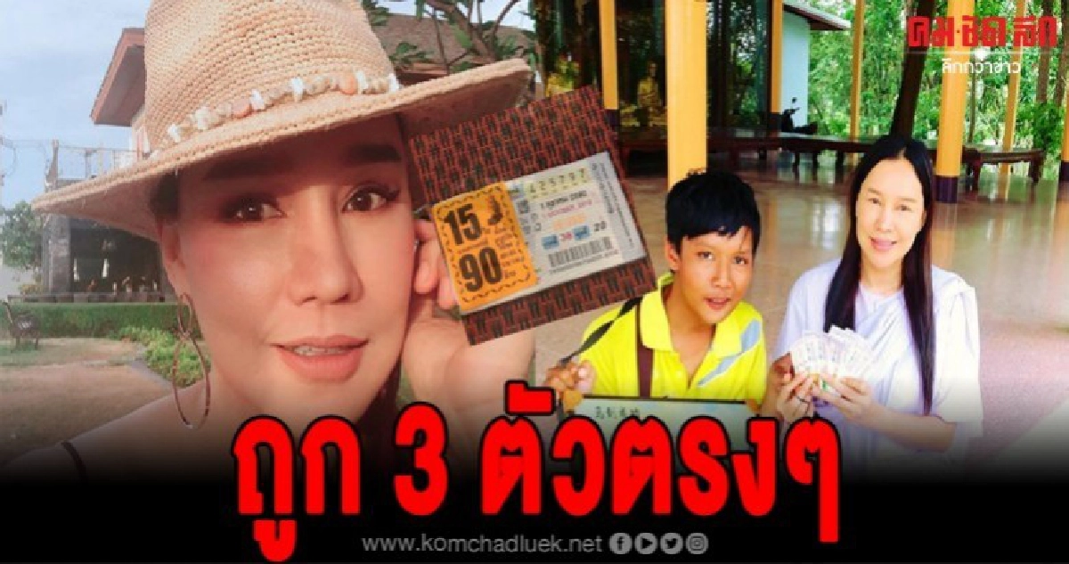 ส้มเช้ง3ช่าเหมาลอตเตอรี่เด็กพิการเกลี้ยงแผง ถูก 3 ตัวตรงๆ ส้มเช้ง3ช่าเหมาลอตเตอรี่เด็กพิการเกลี้ยงแผง ถูก 3 ตัวตรงๆ