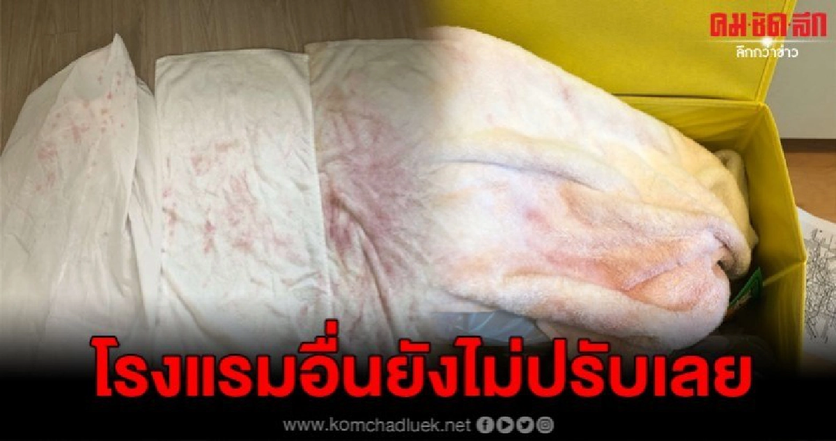 โรงแรมโมโห ลูกค้าทำของเสียหายเพียบ แต่บ่ายเบี่ยงไม่รับผิดชอบ โรงแรมโมโห ลูกค้าทำของเสียหายเพียบ แต่บ่ายเบี่ยงไม่รับผิดชอบ