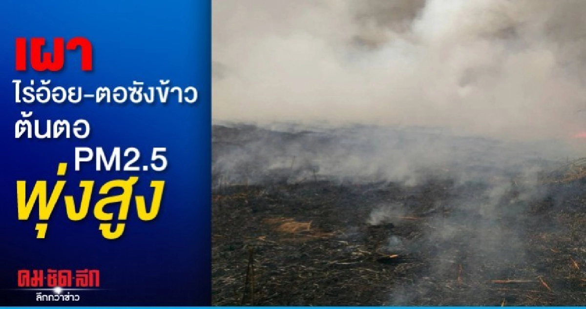 สิ่งแวดล้อมภาค10 เตรียมติดธงแจ้งเตือนหลังพีเอ็ม2.5พุ่งสูง สิ่งแวดล้อมภาค10 เตรียมติดธงแจ้งเตือนหลังพีเอ็ม2.5พุ่งสูง