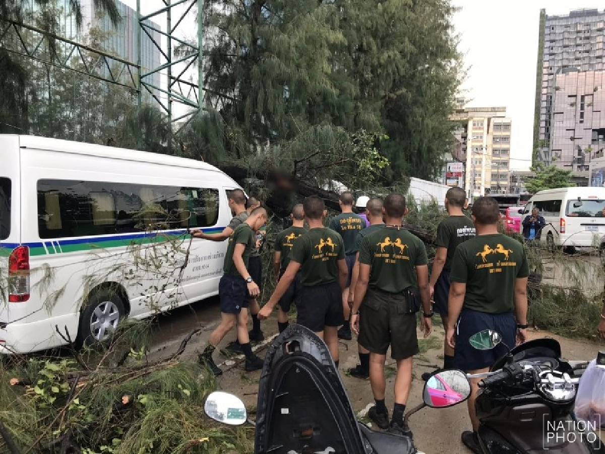 ฝนถล่มกรุง สนยักษ์ล้มทับรถพังระนาว