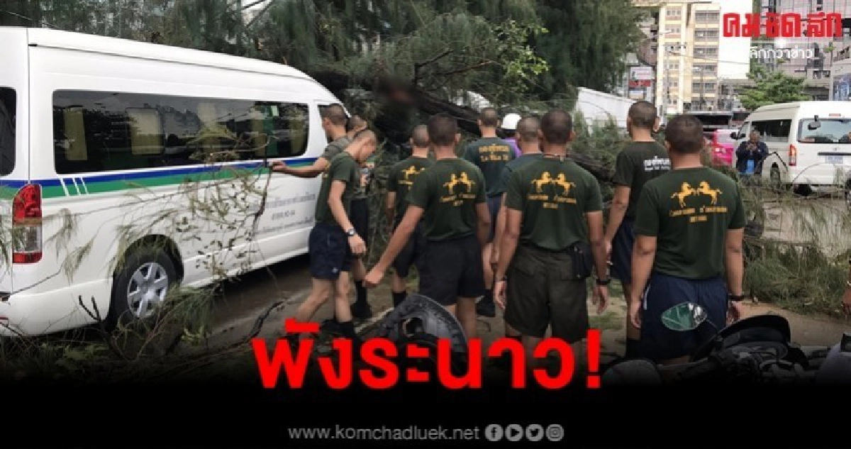 ฝนถล่มกรุง สนยักษ์ล้มทับรถพังระนาว ฝนถล่มกรุง สนยักษ์ล้มทับรถพังระนาว