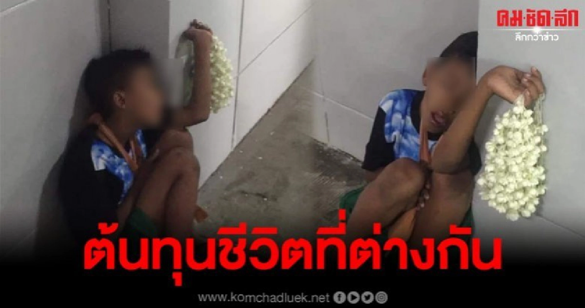 หนูน้อยขายดอกไม้ นั่งหลับอยู่ข้างกำแพง หนูน้อยขายดอกไม้ นั่งหลับอยู่ข้างกำแพง