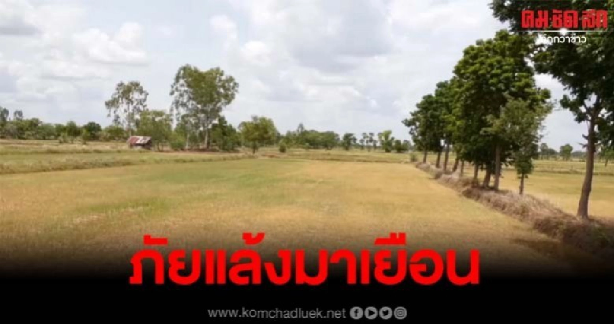 ชาวบ้านเดือดร้อนหนักหลังต้องเผชิญภัยแล้ง พื้นที่ทำกินเสียหาย ชาวบ้านเดือดร้อนหนักหลังต้องเผชิญภัยแล้ง พื้นที่ทำกินเสียหาย