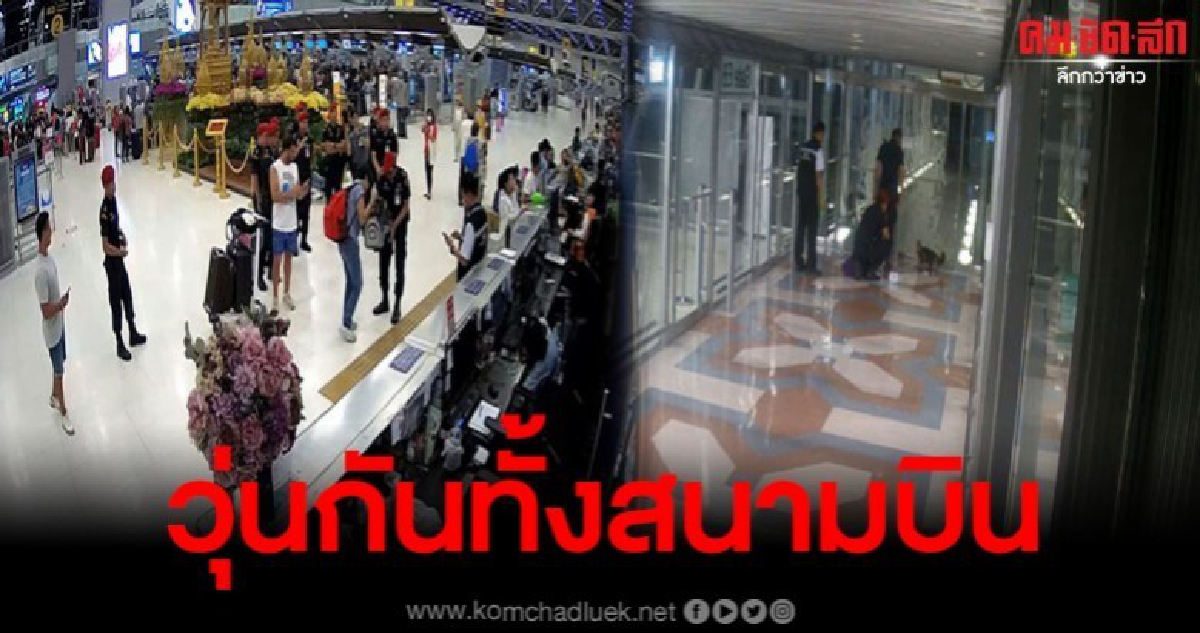 จนท.เร่งหาแมวเปอร์เซีย หลังนทท.ทำหลุดหายในสนามบิน จนท.เร่งหาแมวเปอร์เซีย หลังนทท.ทำหลุดหายในสนามบิน