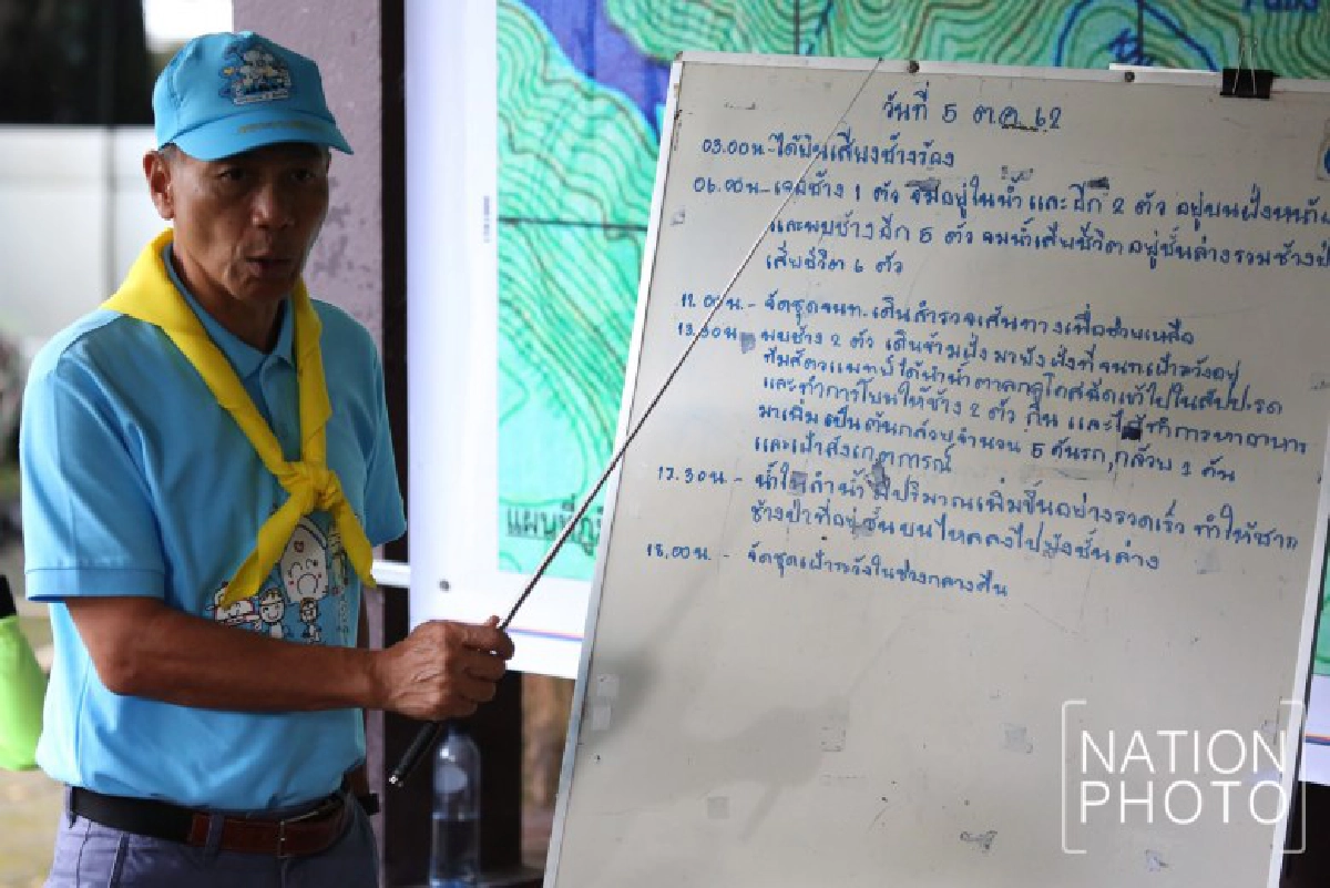 จนท.เร่งช่วยช้างพลัดตกหน้าผาน้ำตกเหวนรก(ภาพชุด) 