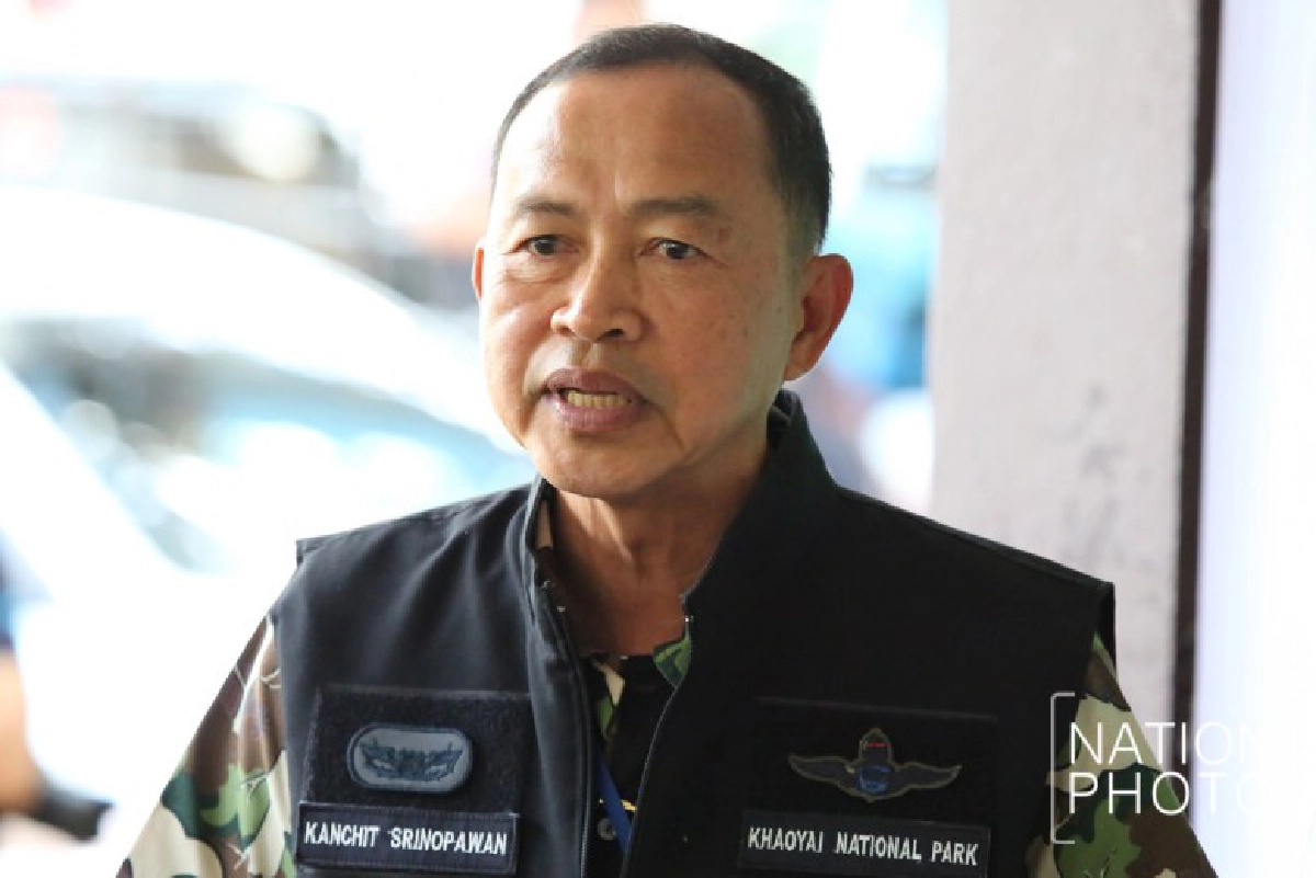 จนท.เร่งช่วยช้างพลัดตกหน้าผาน้ำตกเหวนรก(ภาพชุด) 