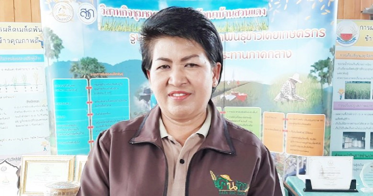 เร่งผลิตเมล็ดพันธุ์ข้าว 1 แสนตันแก้วิกฤติขาดแคลน