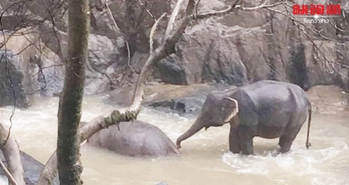 หวั่นซ้ำรอย วราวุธ สั่งซ่อมแนวกั้นรอบน้ำตก หวั่นซ้ำรอย วราวุธ สั่งซ่อมแนวกั้นรอบน้ำตก