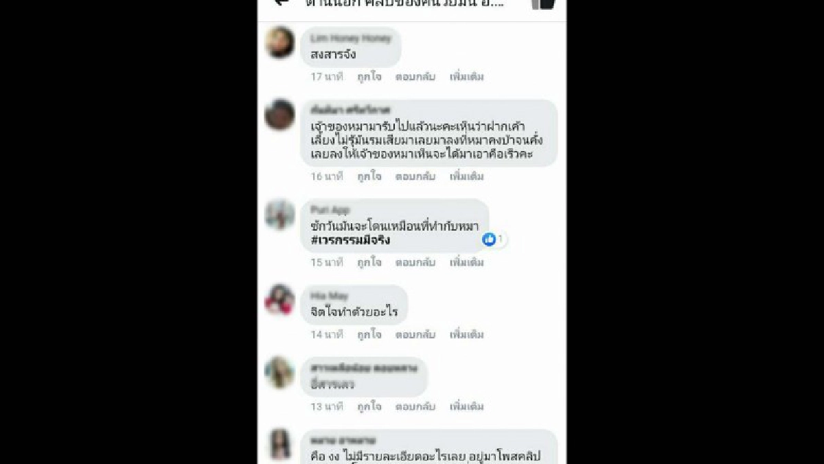 หญิงสาวทำร้ายสุนัขพุดเดิ้น2ตัว สะเทือนใจคนรักสัตว์