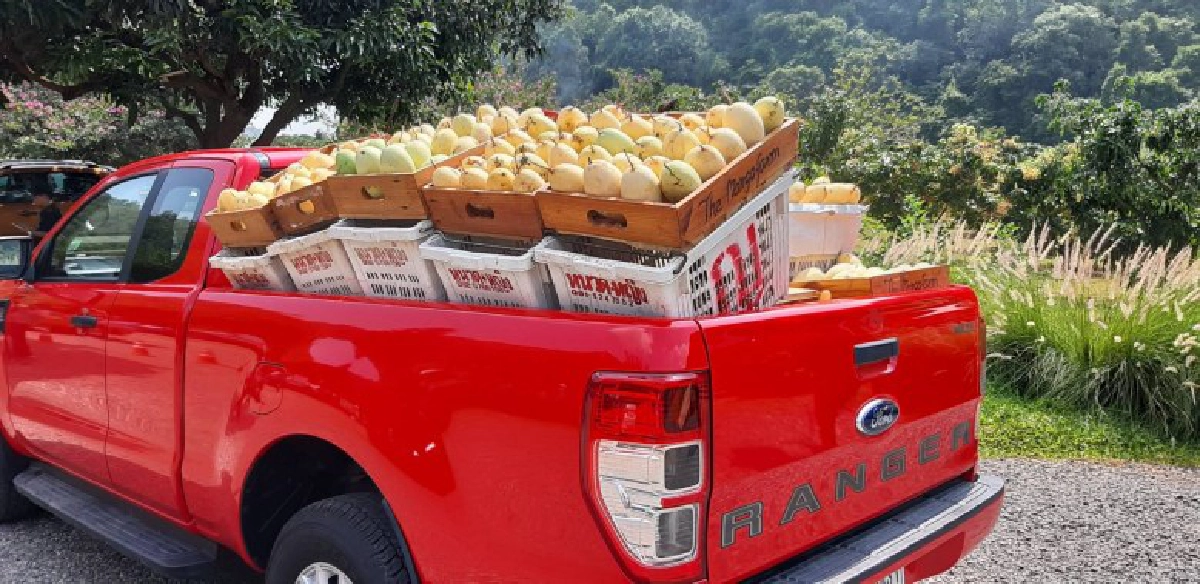 "ฟอร์ด เรนเจอร์"พันธุ์แกร่ง  เจาะลึกทุกงานเกษตรไทย