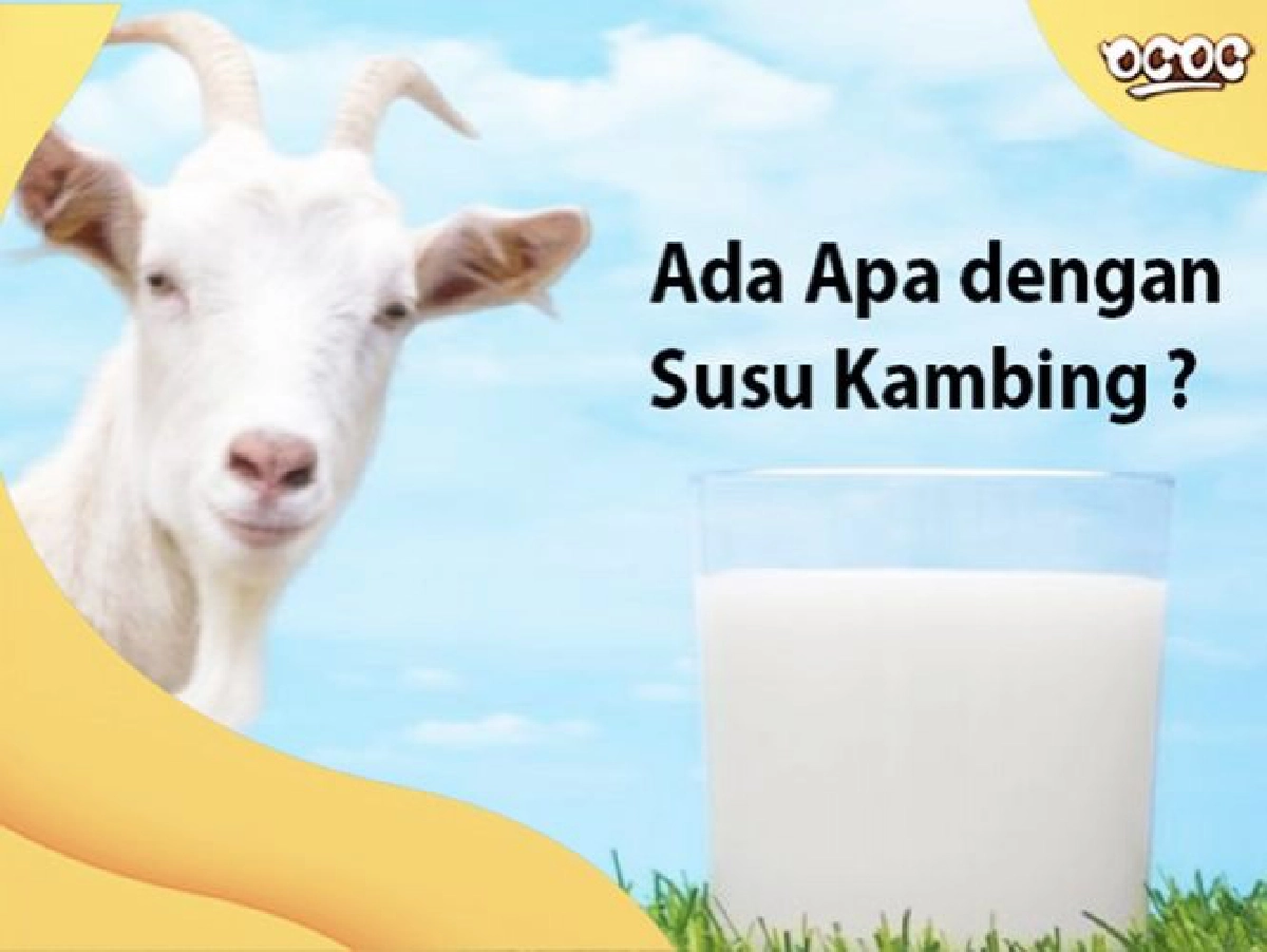 ดันเกษตรกรล้านนาเลี้ยงแพะส่งขายมุสลิม