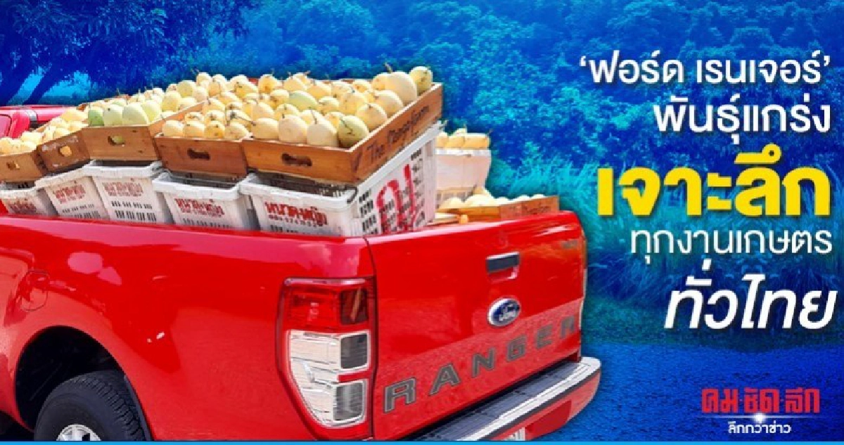 "ฟอร์ด เรนเจอร์"พันธุ์แกร่ง เจาะลึกทุกงานเกษตรไทย "ฟอร์ด เรนเจอร์"พันธุ์แกร่ง เจาะลึกทุกงานเกษตรไทย