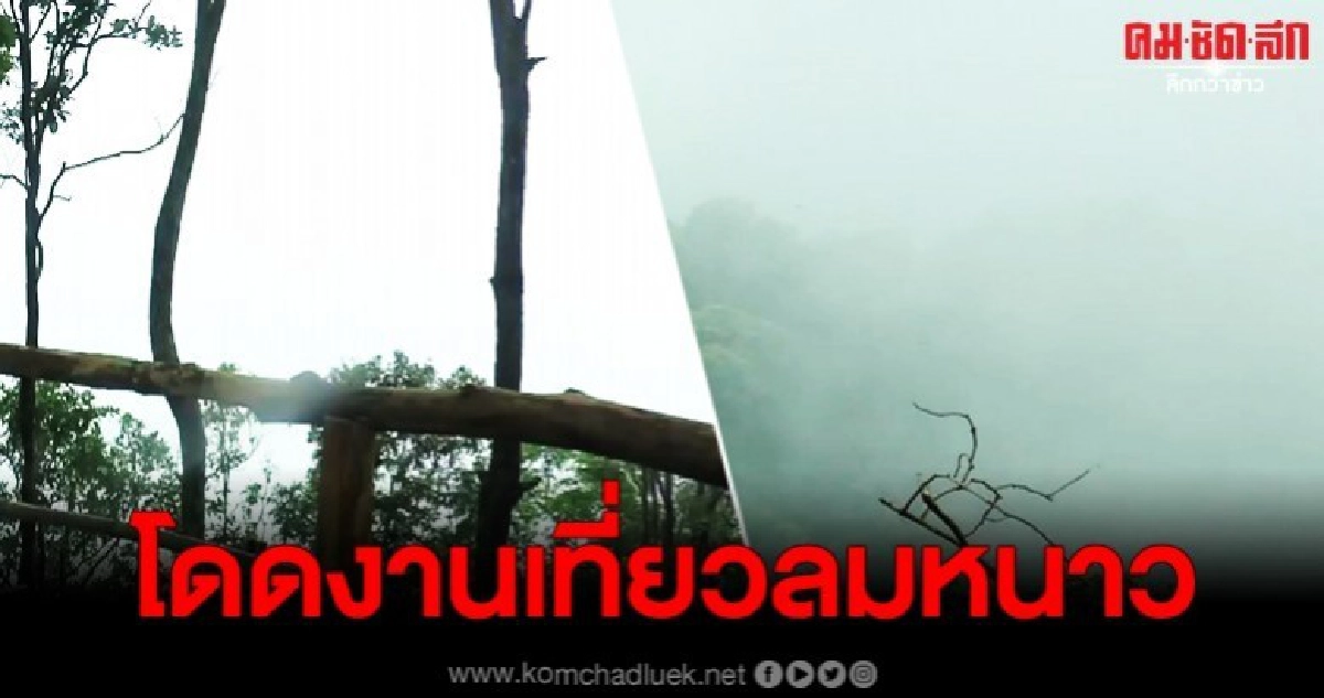 ลมหนาวนี้ไม่ควรพลาด เขื่อนแม่ผง ท่ามกลางธรรมชาติและทะเลหมอก ลมหนาวนี้ไม่ควรพลาด เขื่อนแม่ผง ท่ามกลางธรรมชาติและทะเลหมอก