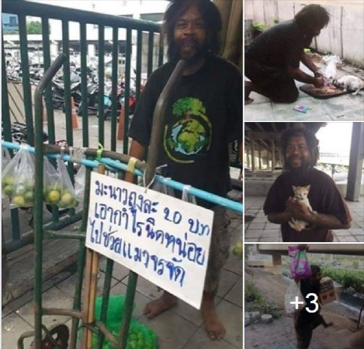 หนุ่มขายมะนาว หารายได้ ซื้อข้าวให้แมวจรจัด