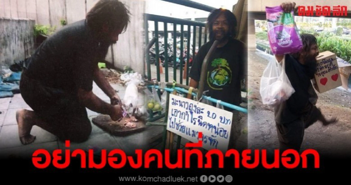 หนุ่มขายมะนาว หารายได้ ซื้อข้าวให้แมวจรจัด หนุ่มขายมะนาว หารายได้ ซื้อข้าวให้แมวจรจัด