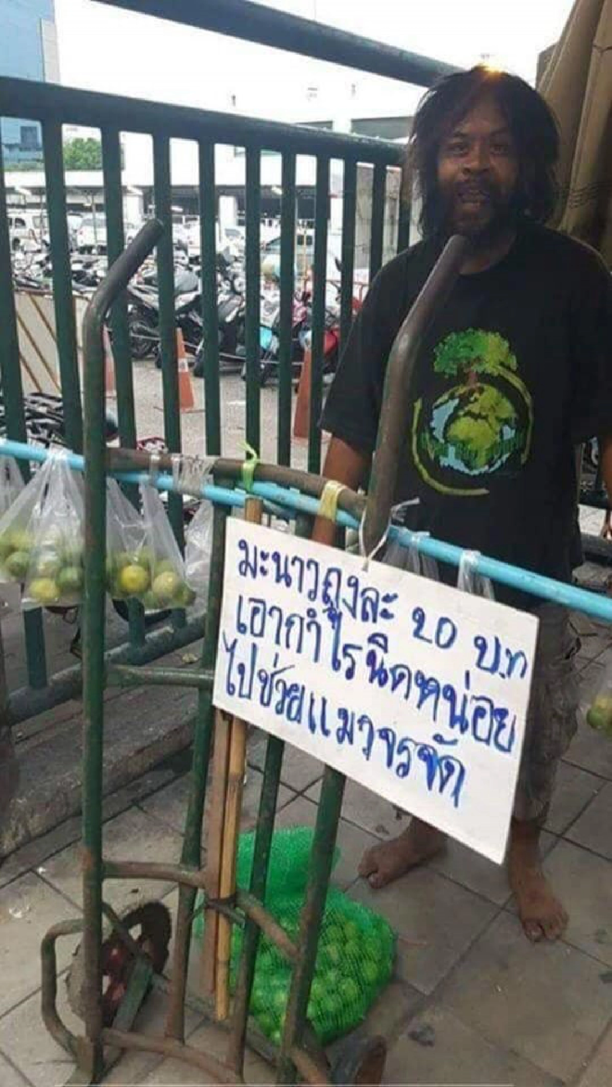 หนุ่มขายมะนาว หารายได้ ซื้อข้าวให้แมวจรจัด