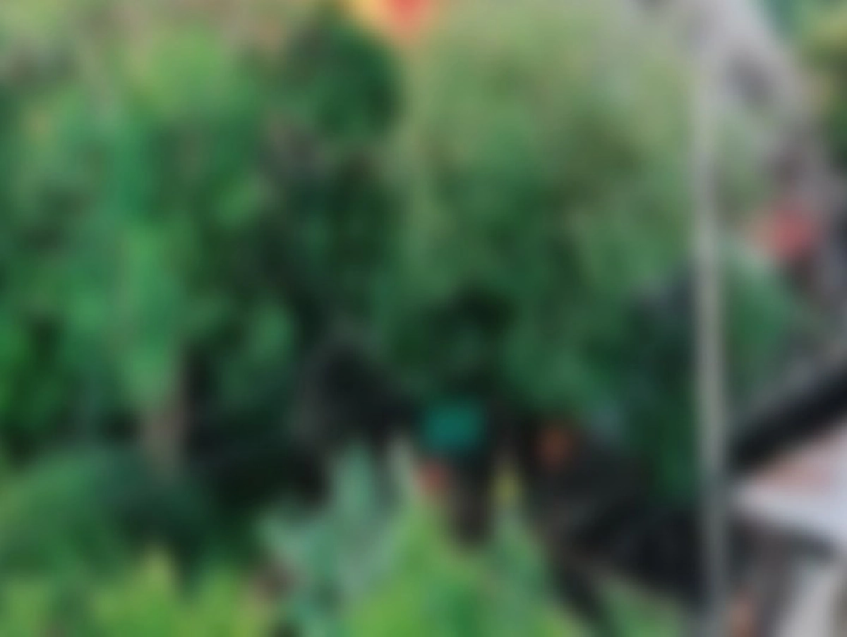 สาวทุกข์หนัก บ้านโดนไฟไหม้ แถมโดนช่างก่อสร้างโกงเงิน 1.4 แสน