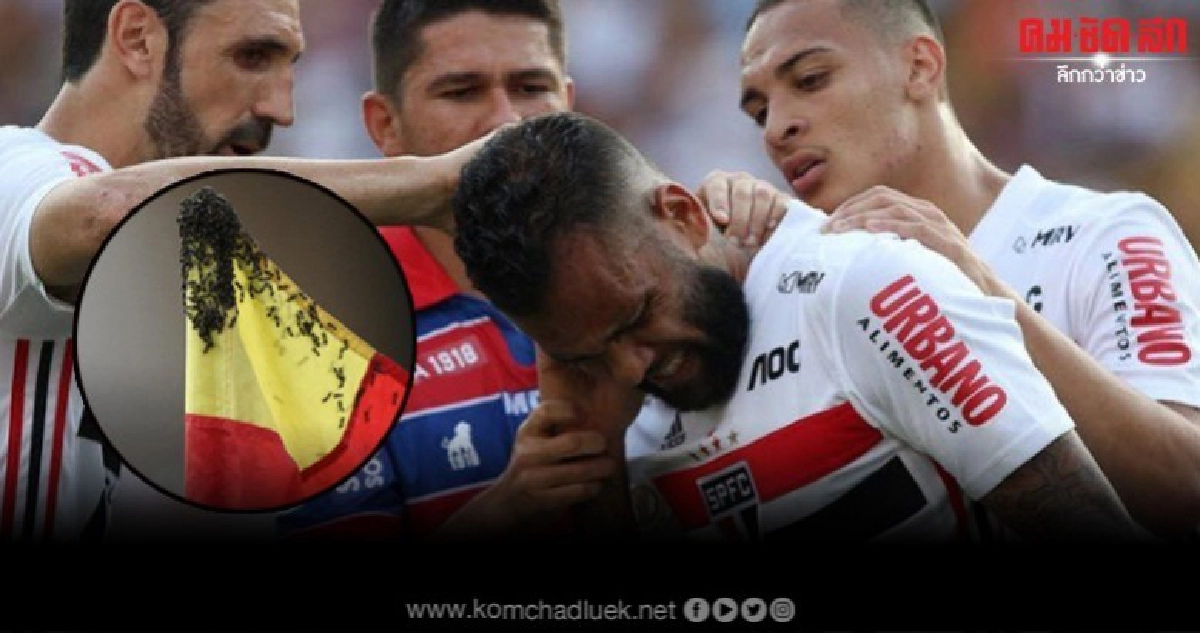 'อัลเวส' ซวยจัดถูกฝูงผึ้งรุมต่อยขณะเตะมุมเกมลีกบราซิล 'อัลเวส' ซวยจัดถูกฝูงผึ้งรุมต่อยขณะเตะมุมเกมลีกบราซิล