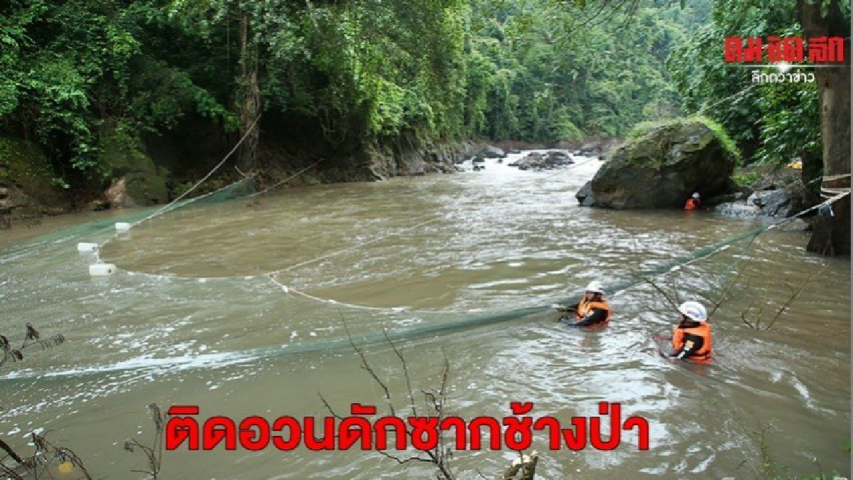 ติดตั้งอวนดักซากช้างป่าตกหน้าผาน้ำตกเหว (ภาพชุด) 