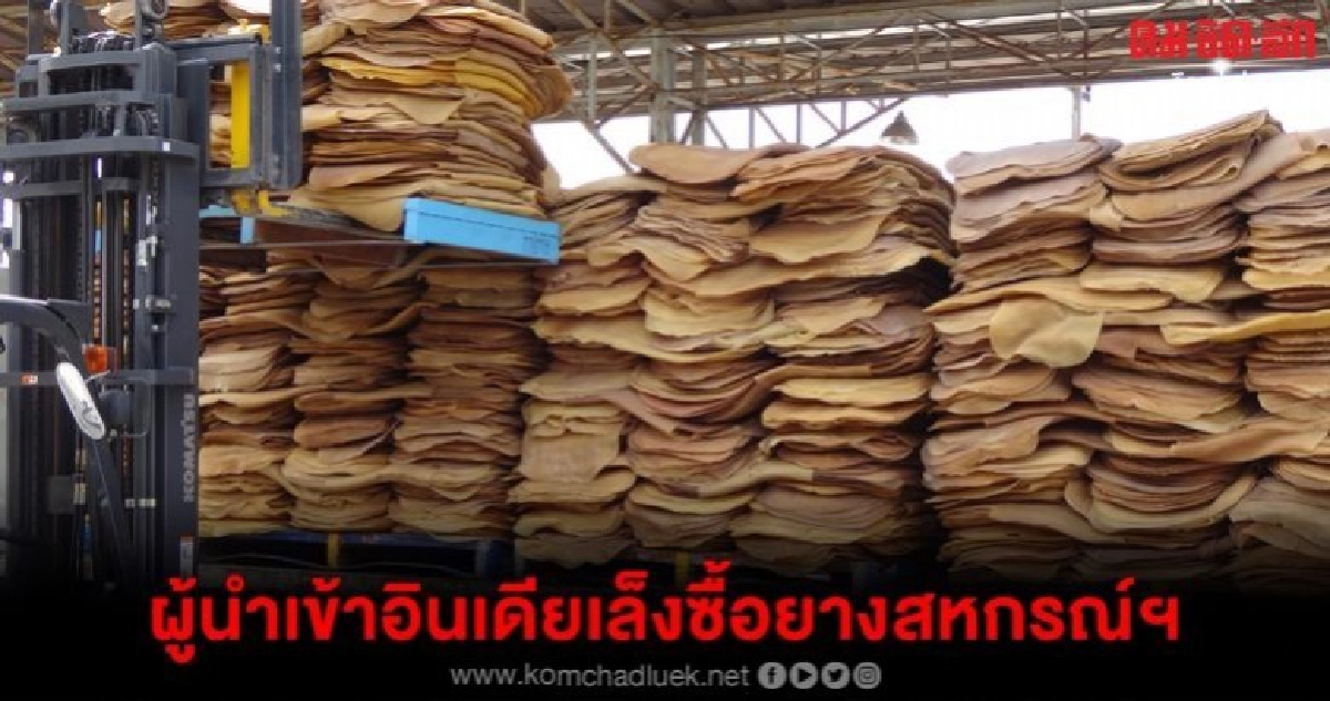 ผู้นำเข้าอินเดีย เล็งซื้อยางสหกรณ์ฯ ผู้นำเข้าอินเดีย เล็งซื้อยางสหกรณ์ฯ