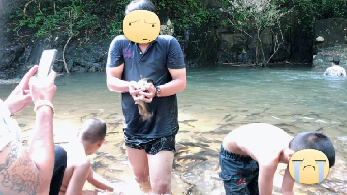 ดราม่าสนั่น  นักท่องเที่ยวจับปลาใน น้ำตกพริ้ว ขึ้นมาถ่ายรูป