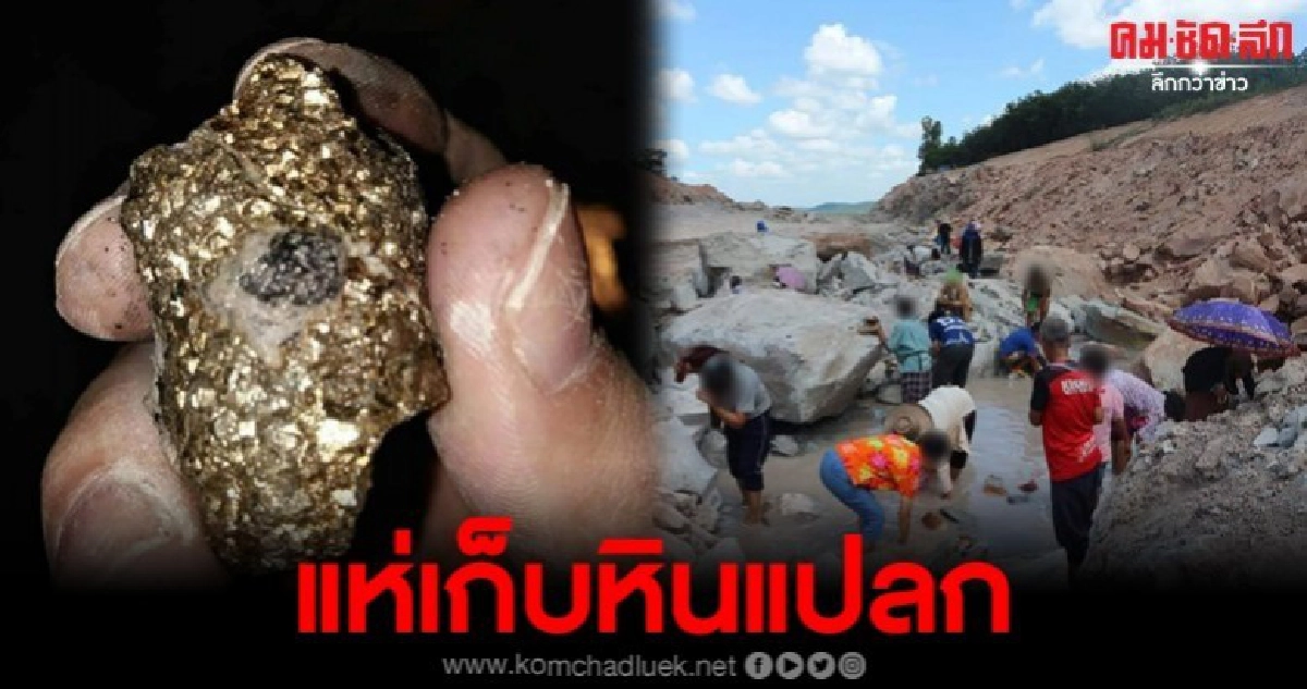 ชาวบ้านมุกดาหาร แตกตื่น แห่เก็บหินสีทองคำ เชื่อขายได้ ชาวบ้านมุกดาหาร แตกตื่น แห่เก็บหินสีทองคำ เชื่อขายได้