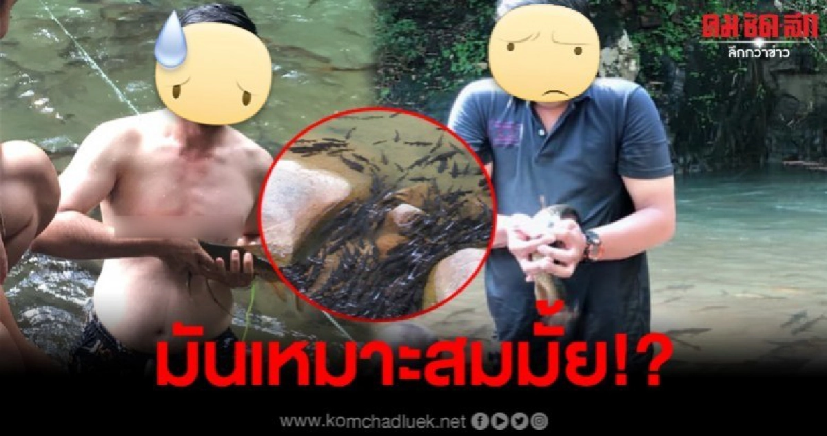 ดราม่าสนั่น นักท่องเที่ยวจับปลาใน น้ำตกพริ้ว ขึ้นมาถ่ายรูป ดราม่าสนั่น นักท่องเที่ยวจับปลาใน น้ำตกพริ้ว ขึ้นมาถ่ายรูป